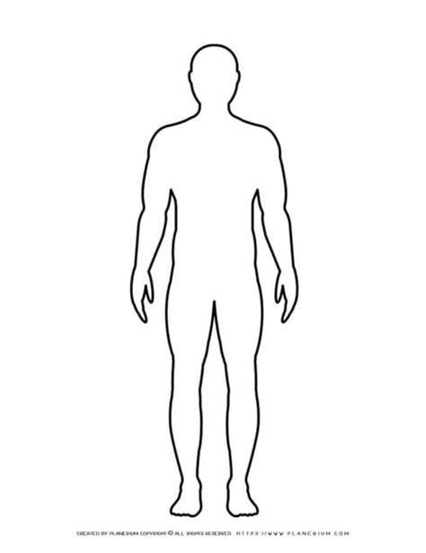 male body outline|male body outline to print.